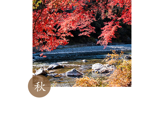 秋 草木の頬が高揚する