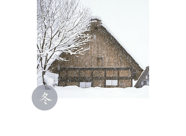 冬 純白のベールを纏って